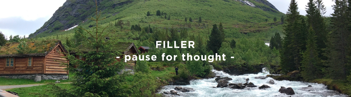 FILLER - pause for thought -